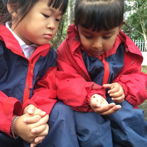 Forest School